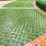 Ekokrata geoSYSTEM wypełniona trawą na podjeździe